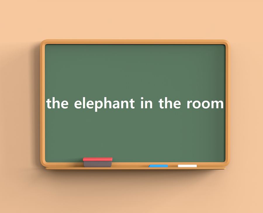 [Study with Daily Busan] the elephant in the room